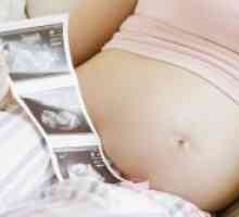 13 De săptămâni de sarcină - dimensiunea fetale
