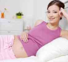 14 De săptămâni de sarcină - senzație