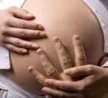 15 De săptămâni de sarcină - fetale circulație