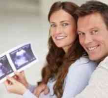 16 Săptămâni de sarcină - dimensiunea fetale