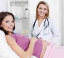 17 De săptămâni de sarcină - fetale circulație