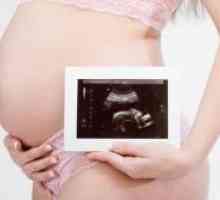 22 De săptămâni de sarcină - dimensiunea fetale