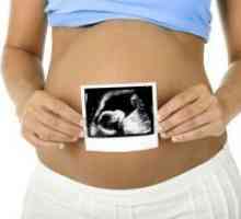 22 De săptămâni de sarcină - mișcări fetale