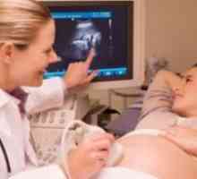 26 De săptămâni de sarcină - dimensiunea fetale