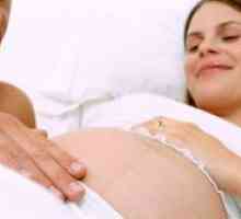 31 De săptămâni de sarcină - fetale circulație