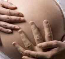 35 De săptămâni de sarcină - perturbatori