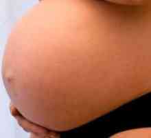 37 Saptamani de sarcina - a doua naștere