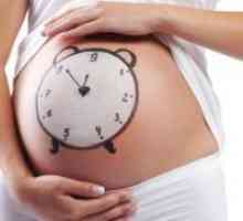 39 Săptămâni gravide - harbingers nașterii