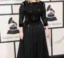 Adele la premiile Grammy 2016