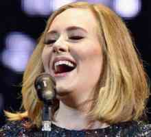 Adele a acționat ca un pețitor pe cont propriu de concert