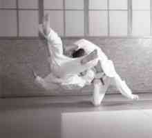 Aikido pentru începători