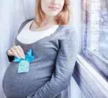 Accesorii pentru o ședință foto gravidă