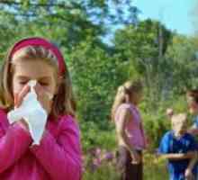Bronșită alergică la copii