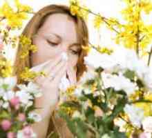 Alergia la înflorire