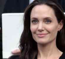 Angelina Jolie este de vânzare o casă în Franța, să urmeze o carieră politică în Londra
