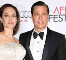 Angelina Jolie spune ca Brad Pitt are copii nelegitimi