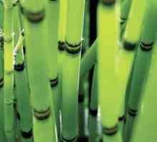 Lenjerie de pat de bambus