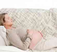 Bartolini în timpul sarcinii