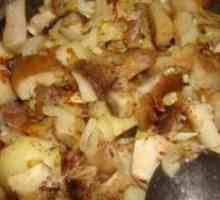 Ciuperci porcini și cartofi