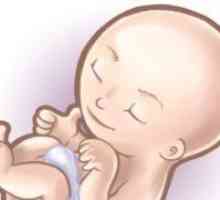 Sarcina 13 săptămâni - dezvoltării fetale