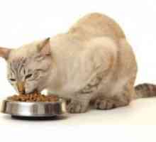 Bezzernovoy mâncare pentru pisici
