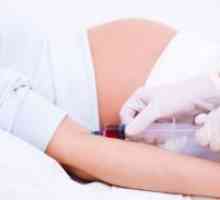 Analiza biochimică a sângelui în timpul sarcinii