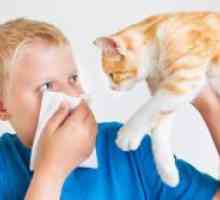 Astmul la copii - simptome si tratament