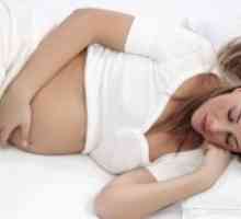 Există perioade în timpul sarcinii?