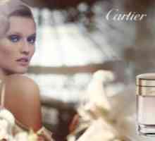 Cartier Baiser vole