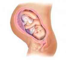 Canalul cervical in timpul sarcinii