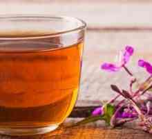 Ceaiul facut din fireweed - avantaje și prejudicii