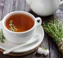 Ceaiul Cimbru - avantaje și prejudicii