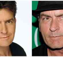 Charlie Sheen are SIDA!