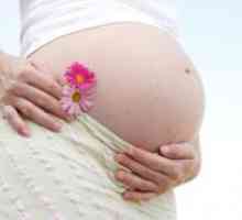 Cum de a vindeca drojdie infecție în timpul sarcinii?