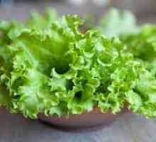 Salata verde Cât de util?