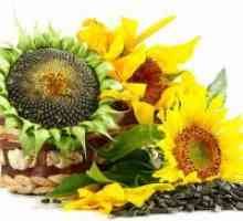 Cât de util semințe de floarea-soarelui prăjite?