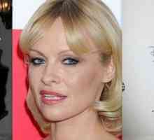 Ceea ce este acum implicat Pamela Anderson?