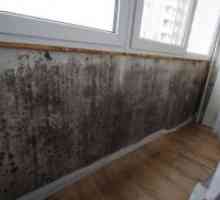 Cum de a elimina mucegaiul de pereții din apartament?