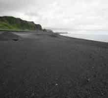 Islanda negru plaja