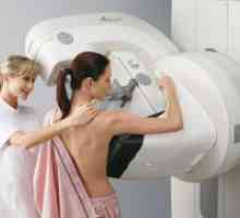 Ceea ce este mai bine - o ecografie sau mamografie?