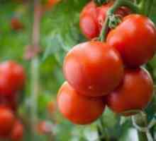 Ce este soiuri de tomate determinate?