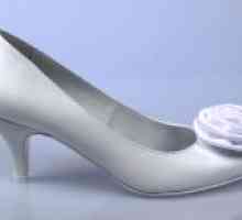 Pantofi de nunta cu tocuri joase