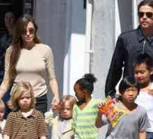 Copiii lui Angelina Jolie