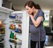 Dieta pentru femeile gravide pe zi