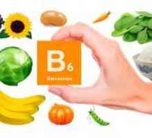 De ce este nevoie pentru ca organismul sa vitamina B6?