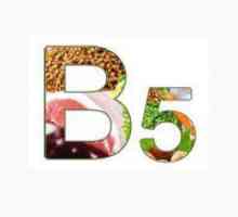 Ceea ce organismul are nevoie de vitamina B5?