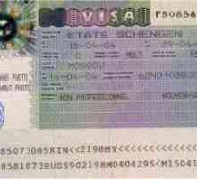 Documente pentru o viză Schengen
