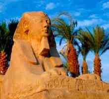 Egipt turistic: foto, video