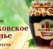 Festivalul de la Moscova Jam
