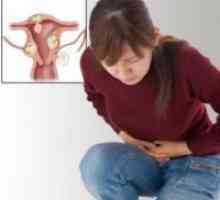 Fibrom uterin